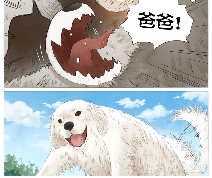 遛狗5