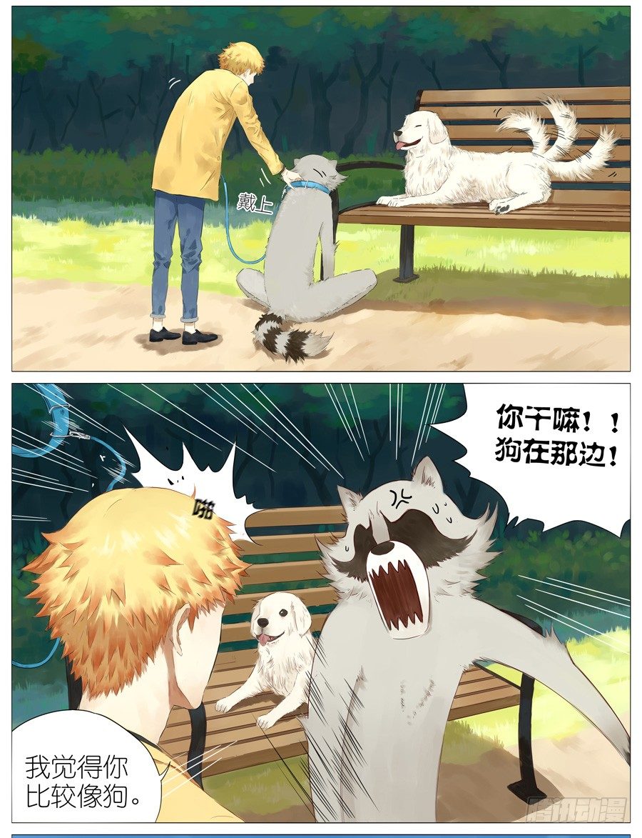 遛狗8
