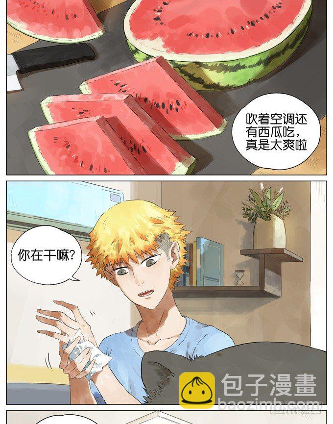 西瓜1