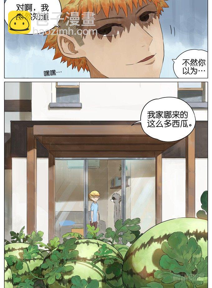 西瓜10