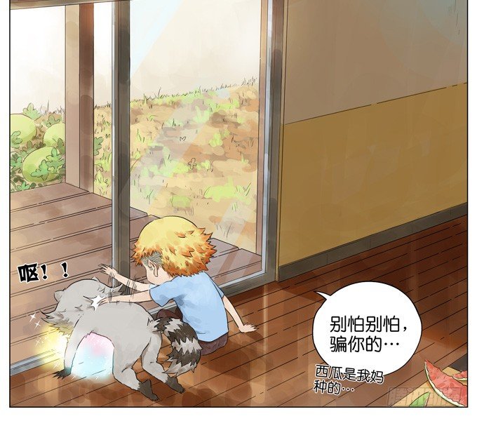 西瓜12