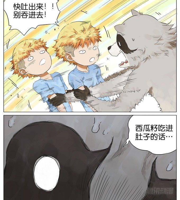 西瓜8