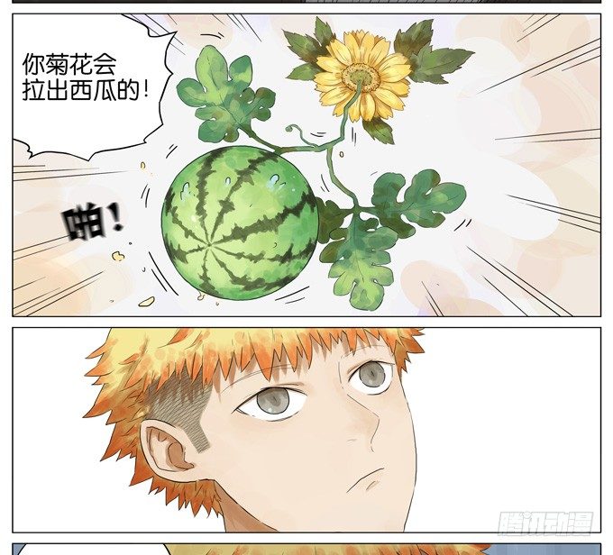 西瓜9