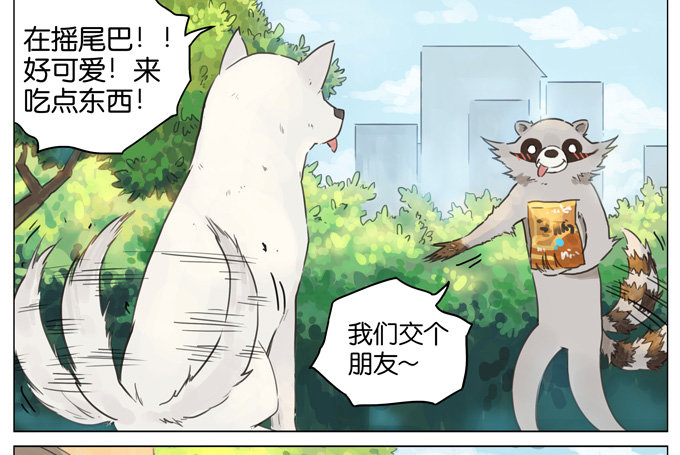 猫狗4