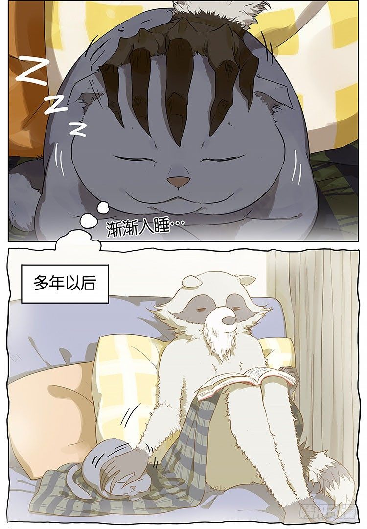 撸猫1