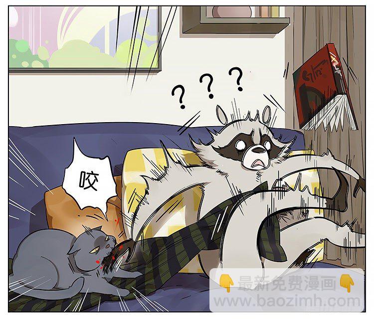 撸猫3