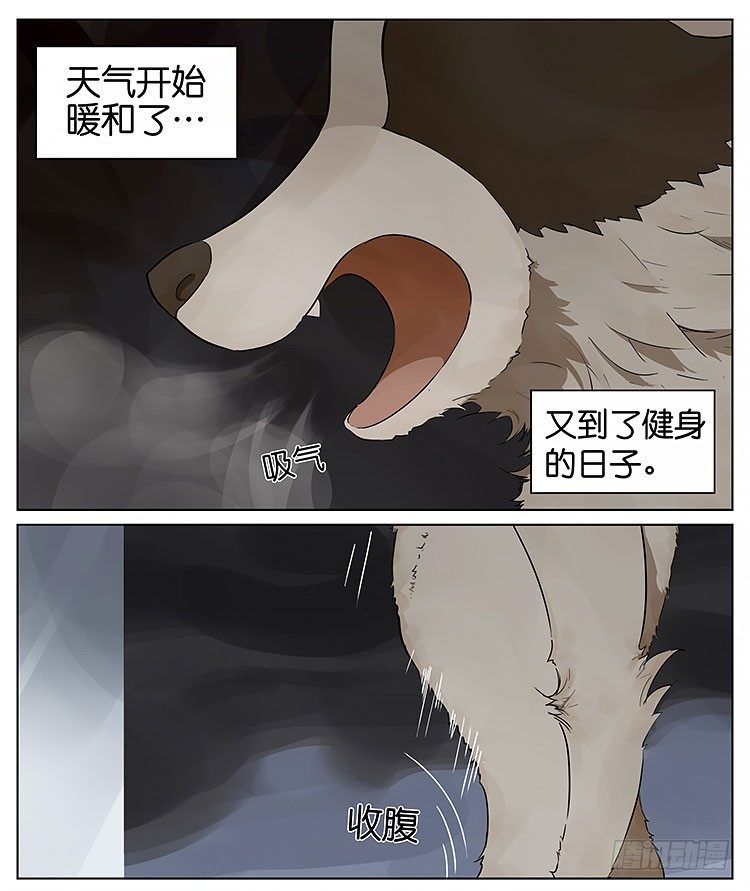 最近又要开始健身了0