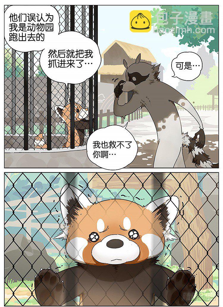 逛动物园2