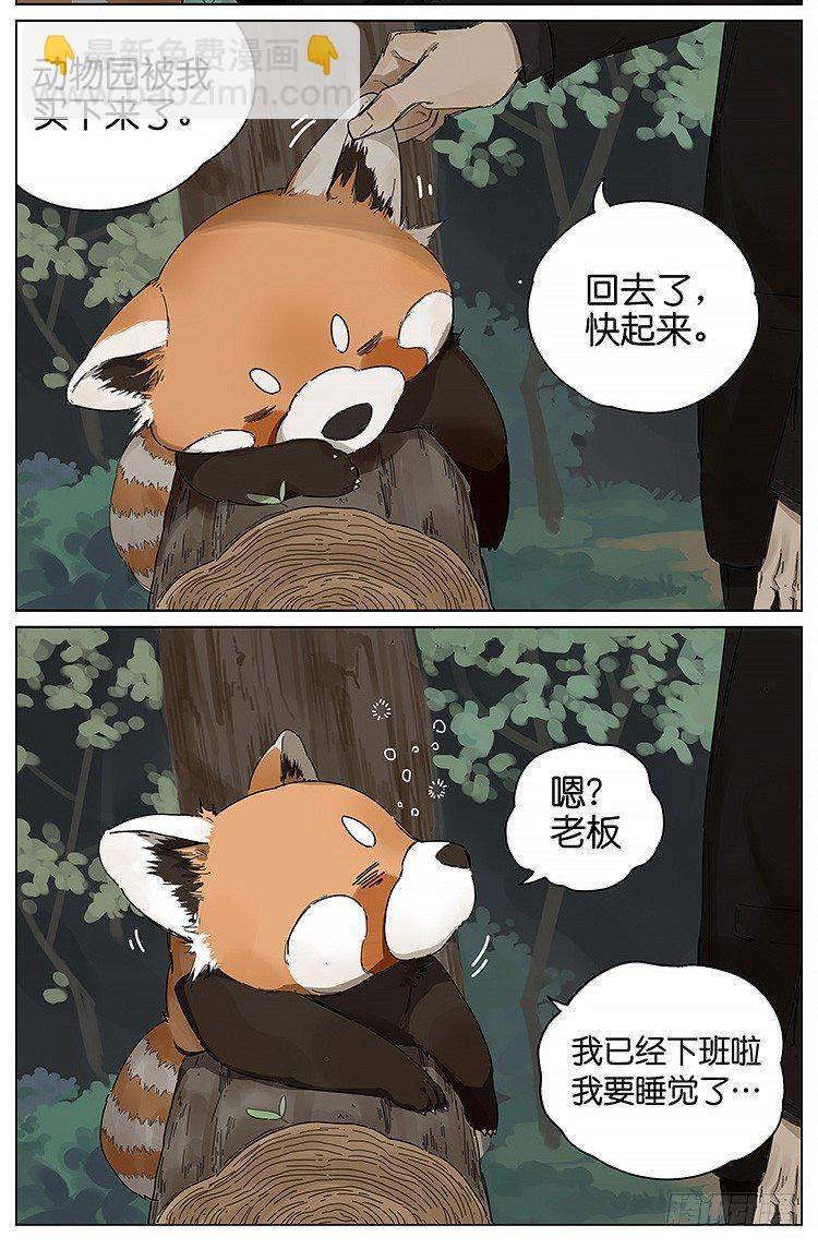 逛动物园5