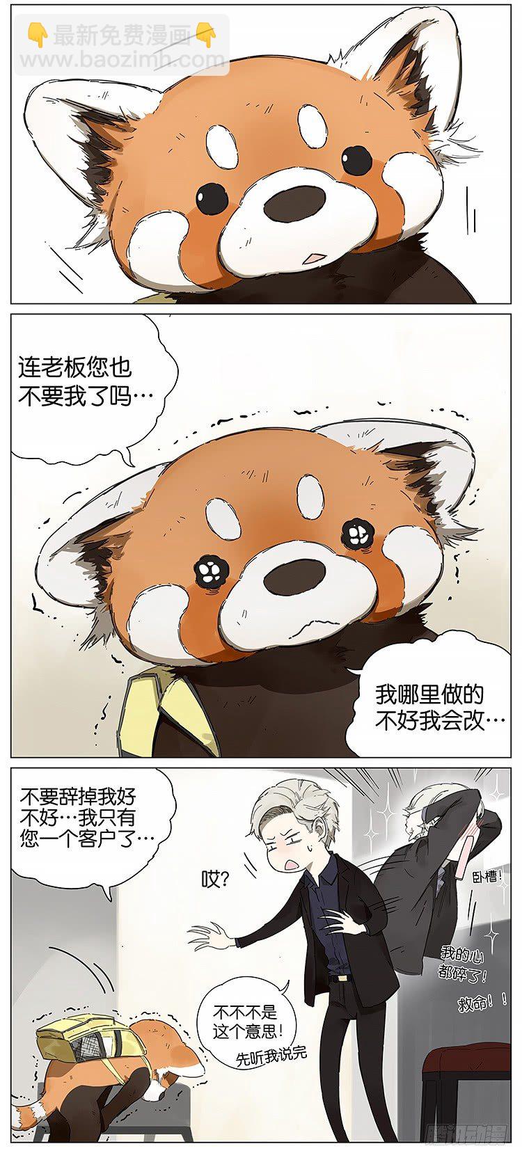 老板5