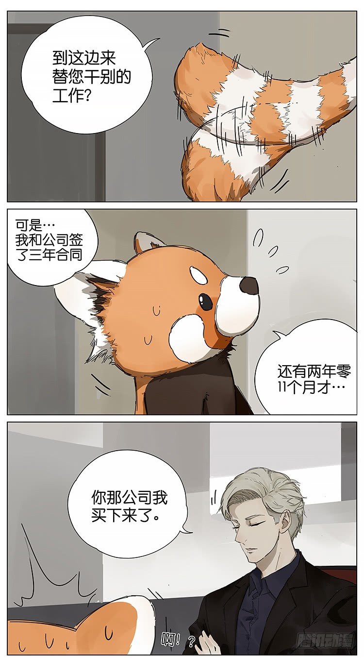 老板6