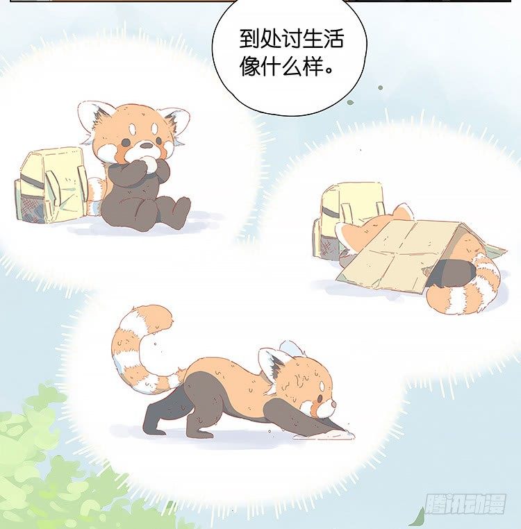 老板9