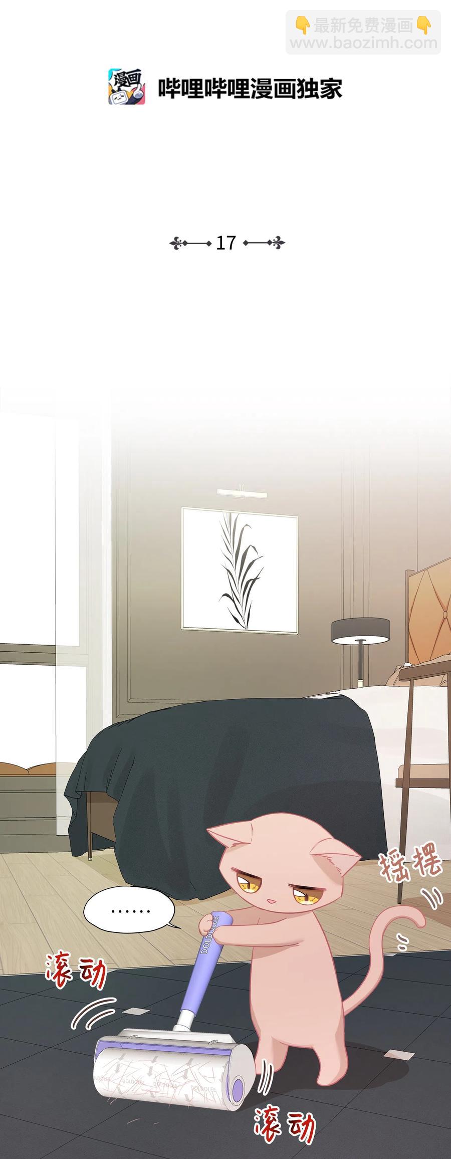 17 调查1