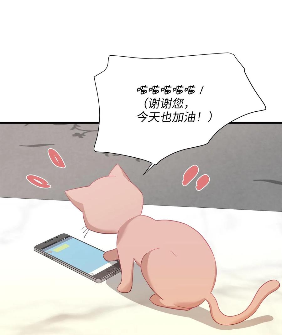17 调查20