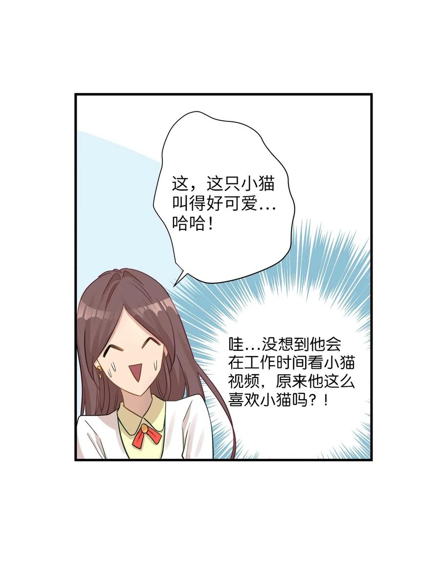 17 调查51