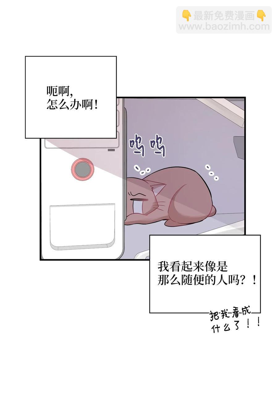 22 真相大白18