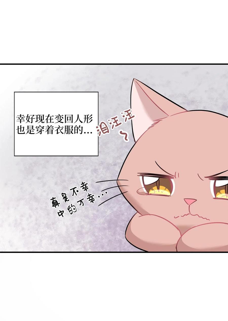 22 真相大白19