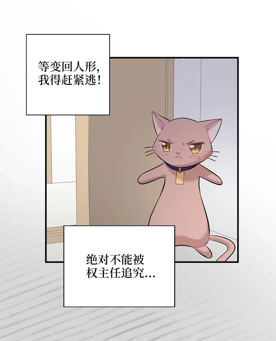 22 真相大白20