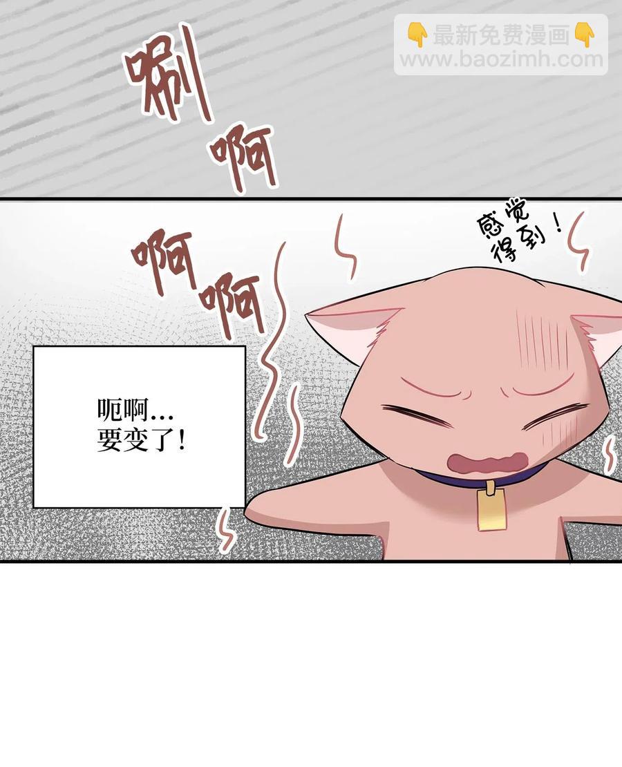 22 真相大白22