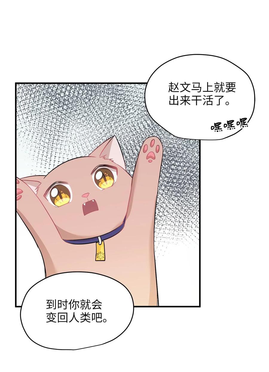 22 真相大白9