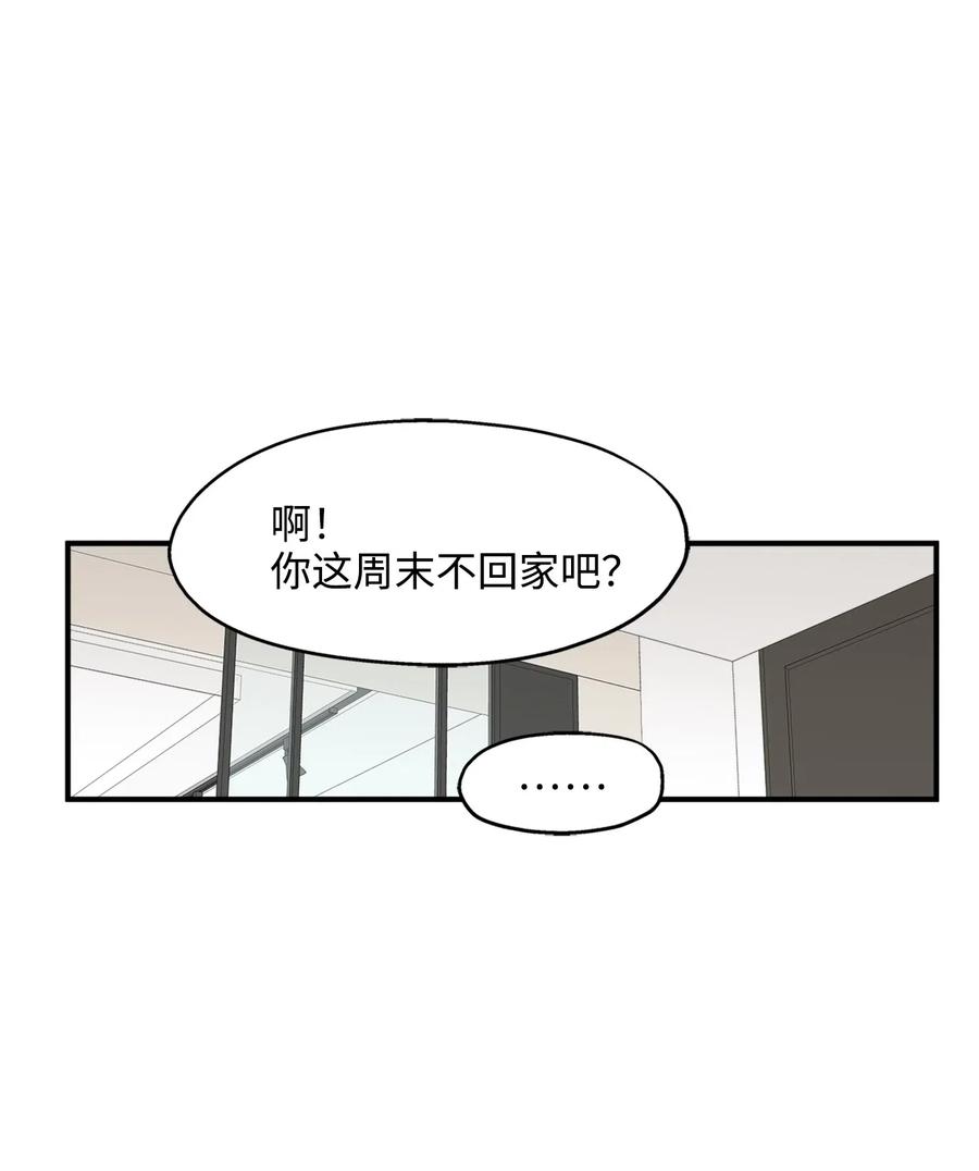 27 总监的爱人9