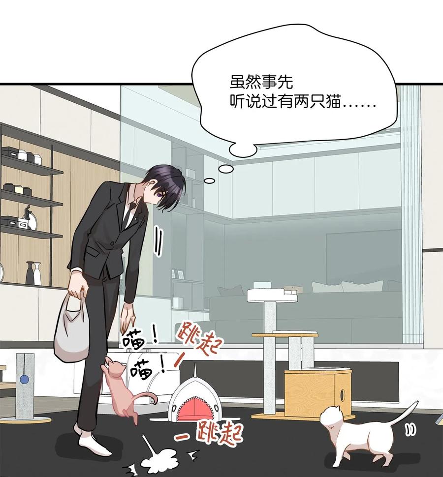 45 奔赴葬礼45