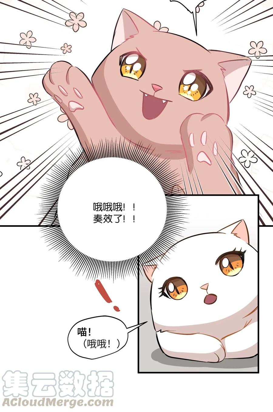 45 奔赴葬礼56
