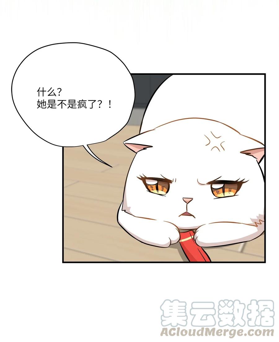 45 奔赴葬礼8