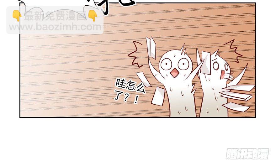 狡猾41