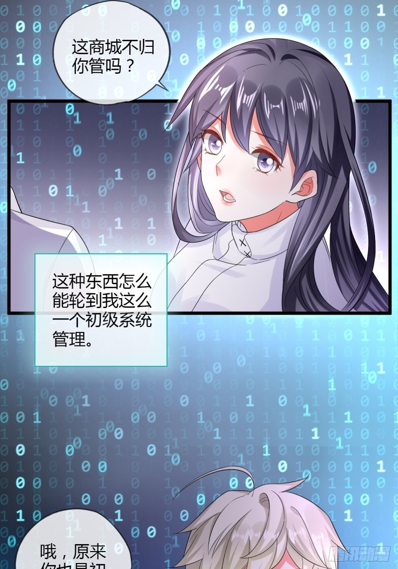 系统商城19