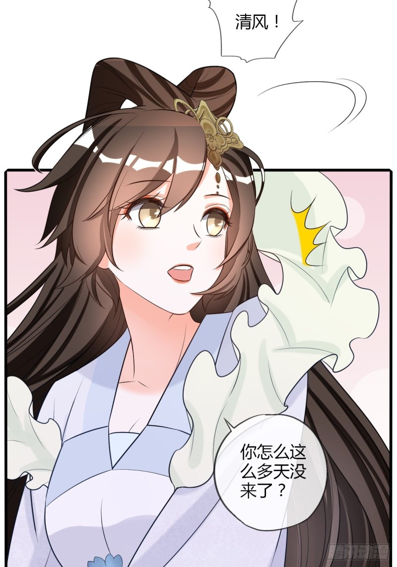 随清风16