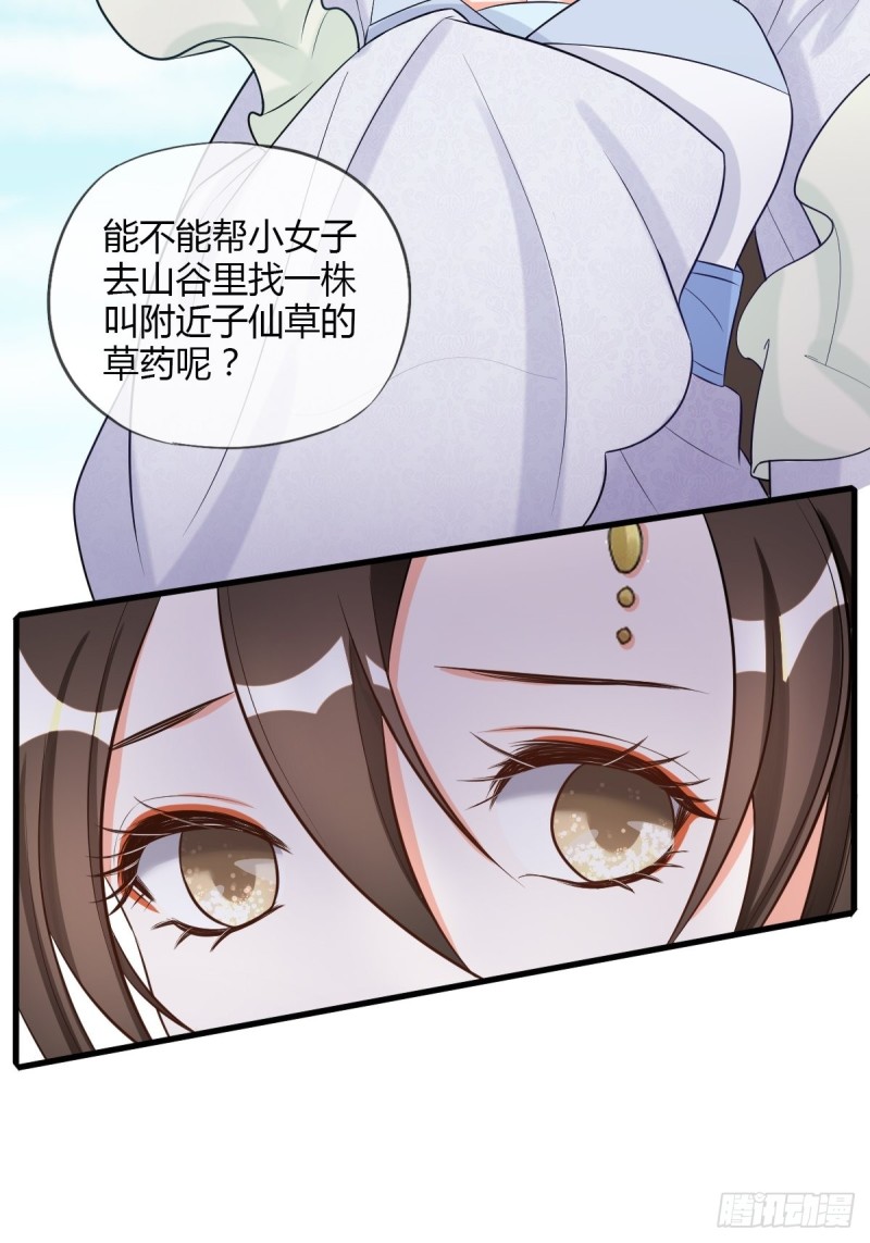 随清风3