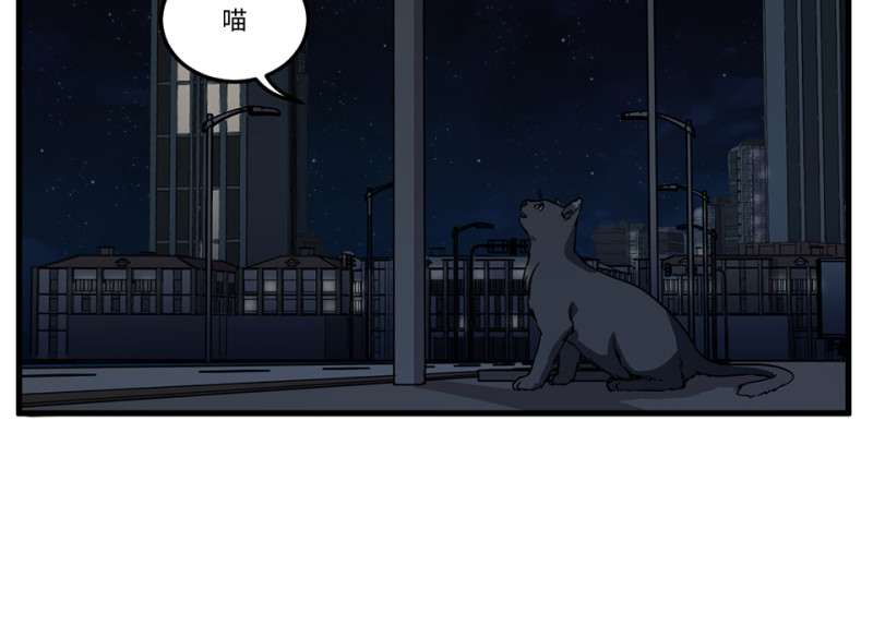 随心父母·五87