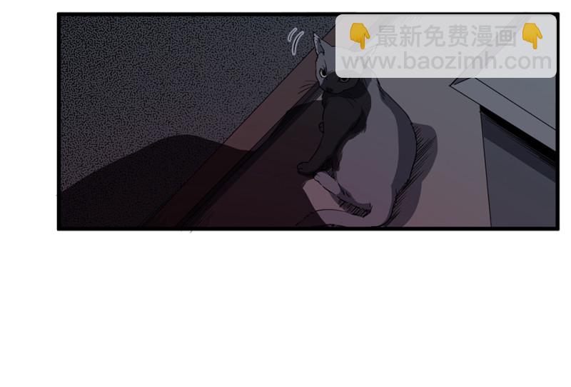随心父母·五88