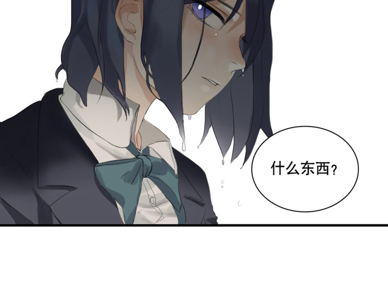 鉴别之瞳·一100