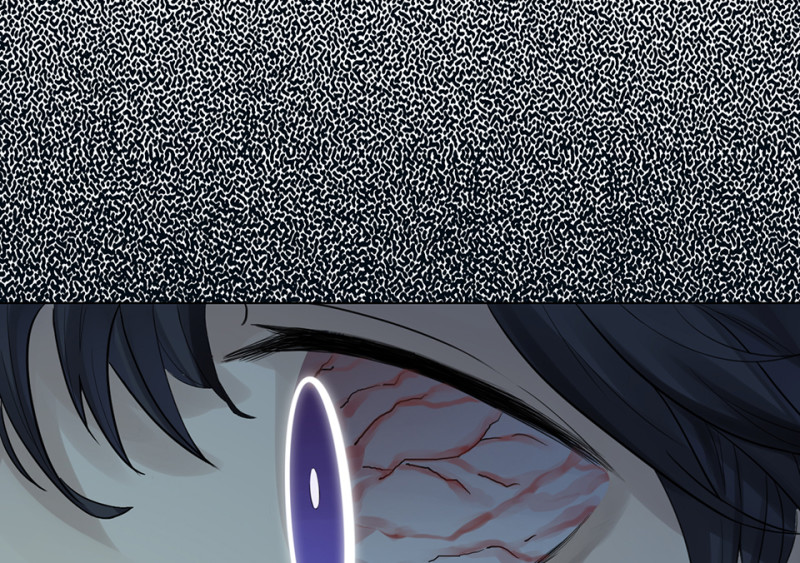 鉴别之瞳·八132