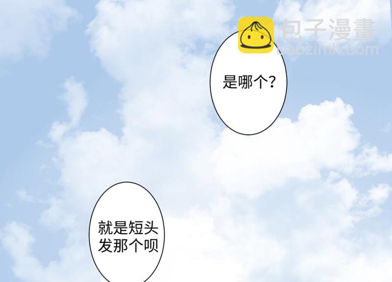 鉴别之瞳·八145