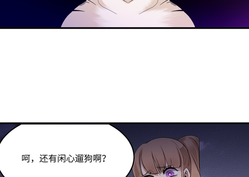 宠物食粮·二107