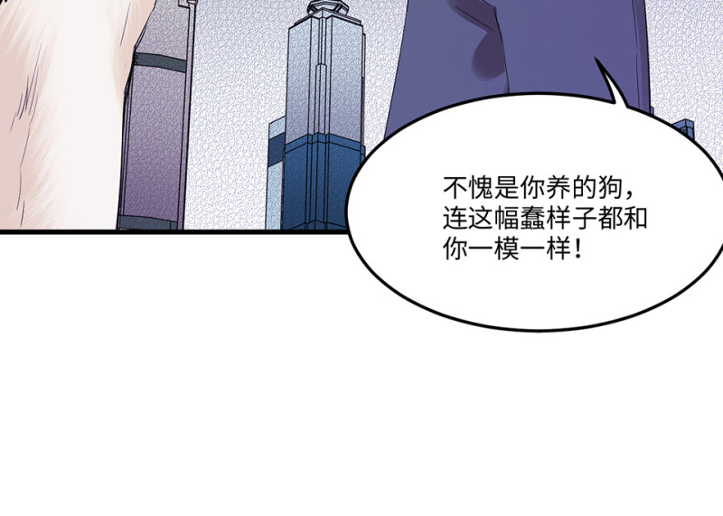 宠物食粮·二109