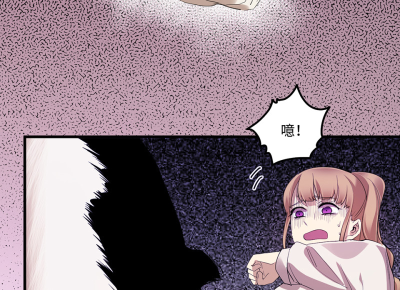 宠物食粮·二137