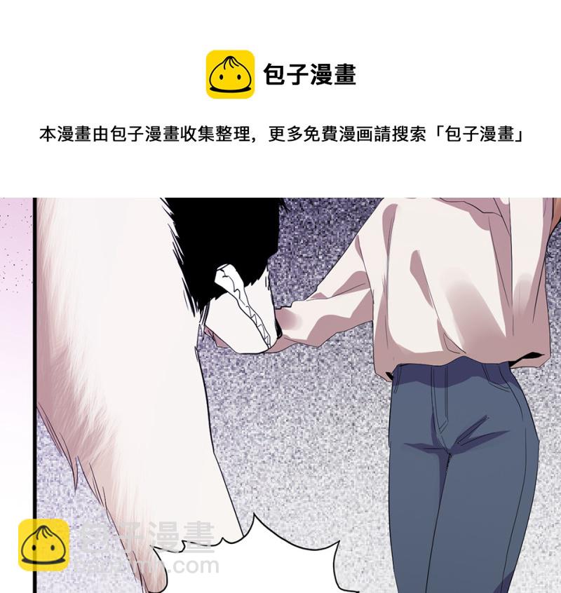 宠物食粮·二138