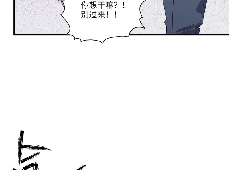 宠物食粮·二139