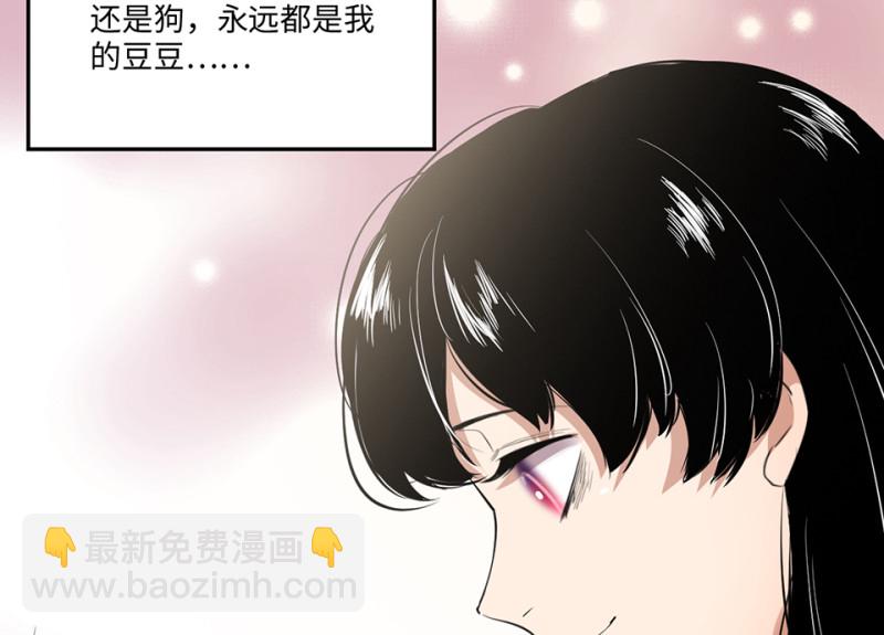 宠物食粮·二154