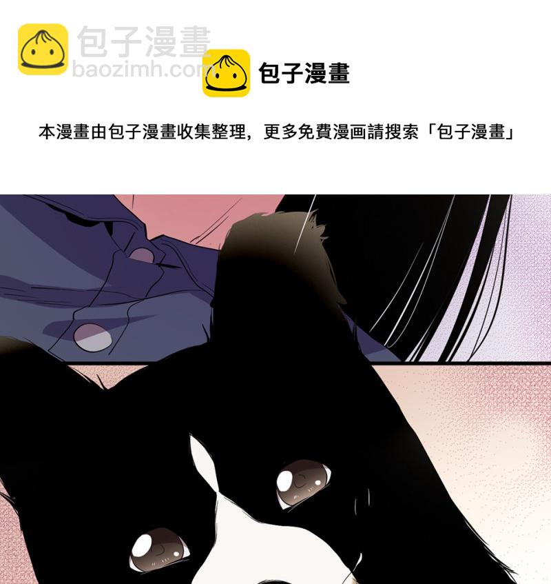 宠物食粮·二162