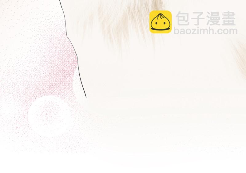 宠物食粮·二164