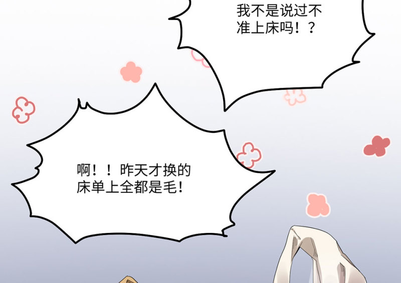 宠物食粮·二21