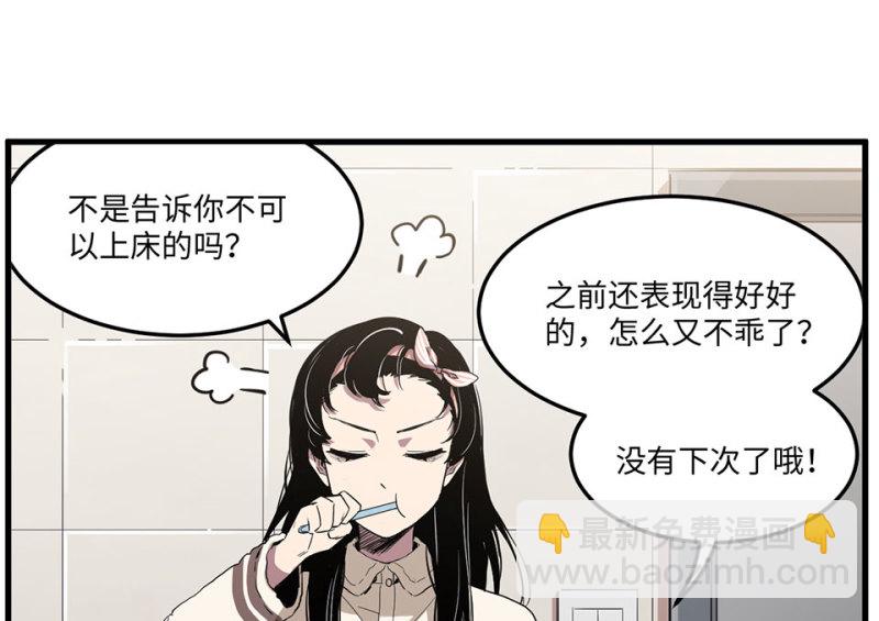 宠物食粮·二28