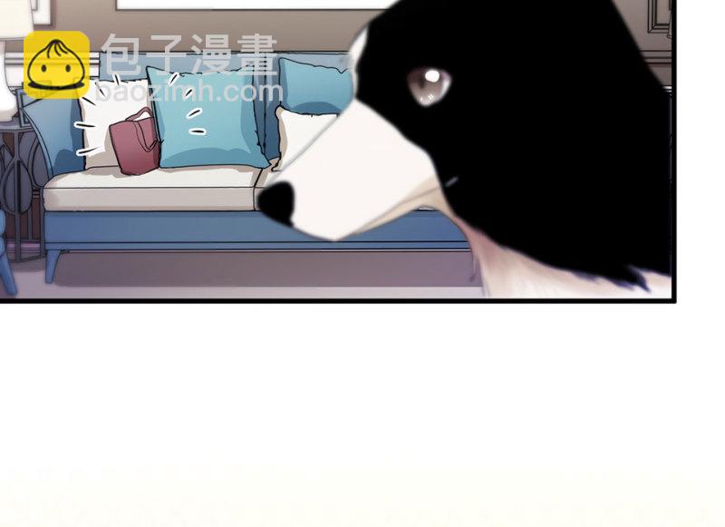 宠物食粮·二58