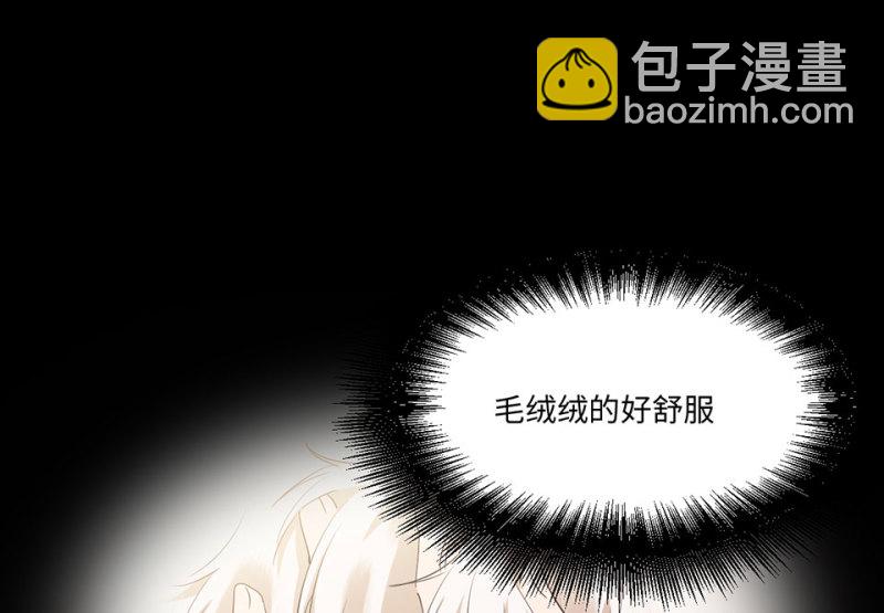 宠物食粮·二7