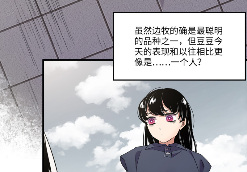 宠物食粮·二79